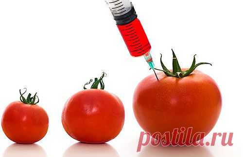 Черный список генетически модифицированных продуктов: