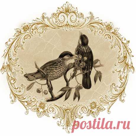 Винтажные птички.
