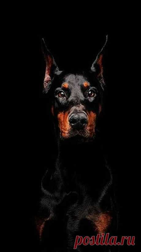 (162) Pinterest