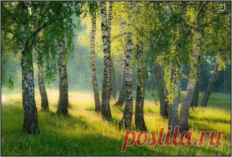 Фото группы | Фотографии В МИРЕ КРАСИВЫХ КАРТИНОК И ХОРОШЕЙ МУЗЫКИ | 11517 фото | Группы Мой Мир