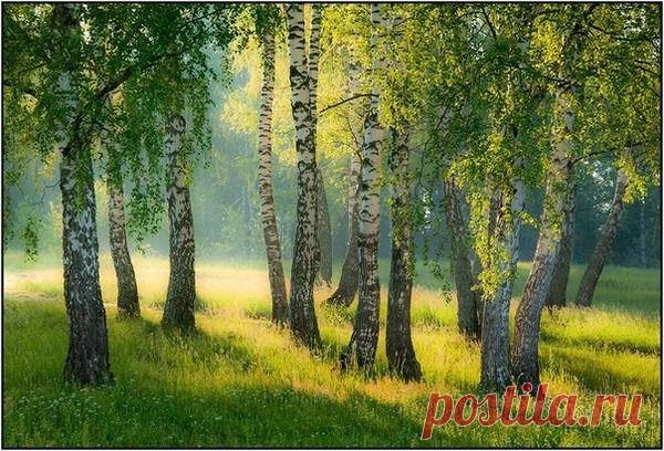 Фото группы | Фотографии В МИРЕ КРАСИВЫХ КАРТИНОК И ХОРОШЕЙ МУЗЫКИ | 11517 фото | Группы Мой Мир