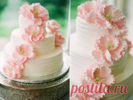 Реальный заработок в Интернете ДЕКРЕТ - прекрасная пора для новоиспеченной молодой мамы. Вопрос  работы в декрете волнует многих женщин. Но далеко не многие молодые мамы знают, как можно заработать в декрете. А маленькая подработка поможет мамочке держать себя в форме, быть интересной и позволить дополнительные приятные покупки себе и своему малютке. Пишите электронный адрес-вышлю информацию.