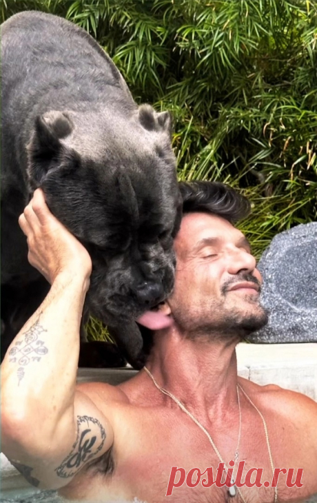 Фрэнк Грилло