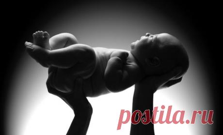 Твое рождение - не случайность! - 5 сфер