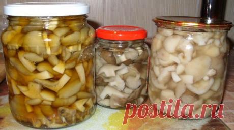 Самый вкусный рецепт маринования грибов Вкус изумительный, ничего лишнего! Кто бы ни пробовал — просят рецепт!