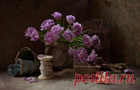 photo: С морской звездой.... | photographer: | WWW.PHOTODOM.COM