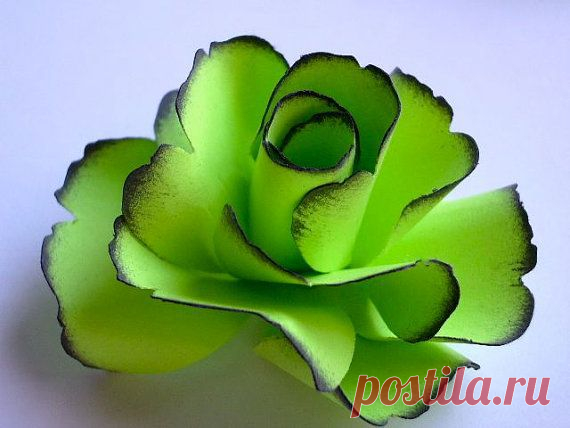 The Rose Handmade Paper Flower - Lime Green - (Set of 5)