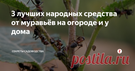 3 лучших народных средства от муравьёв на огороде и у дома Хотите избавиться от надоедливых муравьёв, оккупировавших Ваш участок без химии? Вам это удастся! Народные средства от муравьёв в нашей публикации — это топ-3 эффективных, простых и недорогих методов. Их испробовали многие владельцы участков, облюбованных вездесущими "незваными гостями", и отзывы говорят о положительном результате. Попробуйте и В