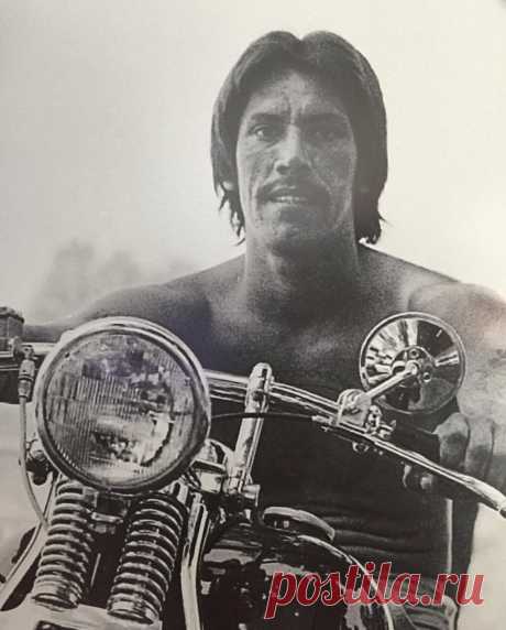 Дэнни Трехо (Danny Trejo)
- 16 мая, 1944
