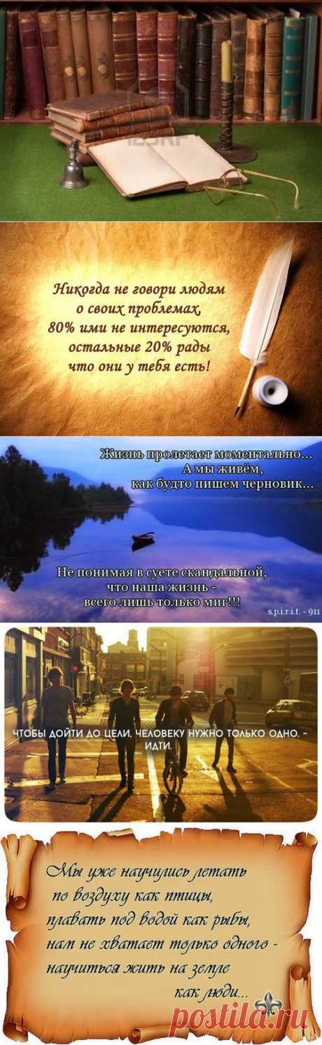 МУДРОСТИ ЖИЗНИ