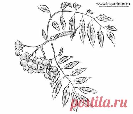 Веточка рябины — Сделай сам, идеи для творчества - DIY Ideas