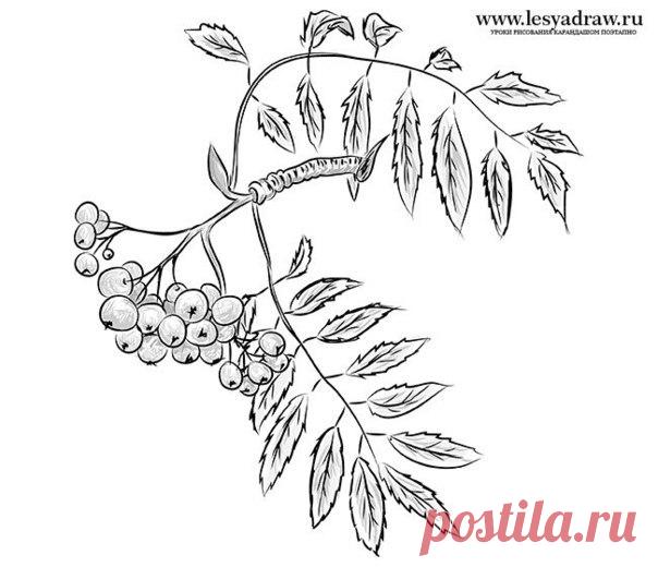 Веточка рябины — Сделай сам, идеи для творчества - DIY Ideas