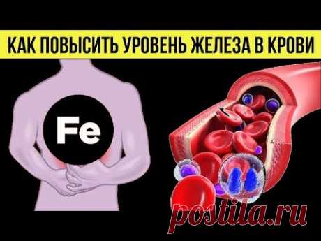 Как повысить уровень железа в крови Продукты для поднятия гемоглобина Советы для здоровья и питания - YouTube