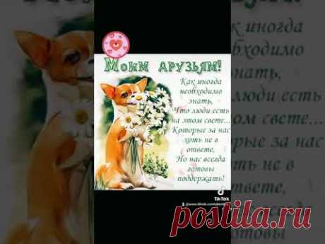 ПОЗИТИВЧИК МОИМ ДРУЗЬЯМ ! ХОЧУ ЧТОБ СЧАСТЬЕ УЛЫБАЛОСЬ ВАМ !❤ ... #позитивчикмоимдрузьям