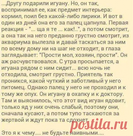 Мой Мир@Mail.Ru