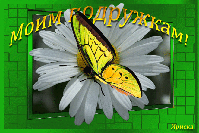 5c9ccf48aa30.gif (700×469)