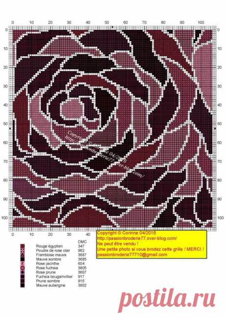 (480) Pinterest