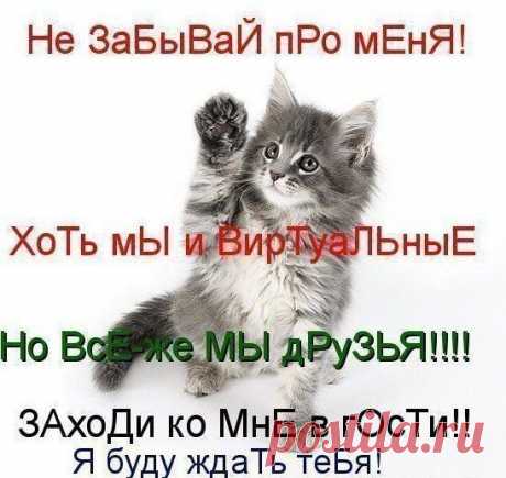 С ДНЕМ ДРУЖБЫ КРАСИВЫЕ ПОЗДРАВЛЕНИЯ ОТКРЫТКИ: 19 тыс изображений найдено в Яндекс.Картинках