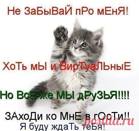 С ДНЕМ ДРУЖБЫ КРАСИВЫЕ ПОЗДРАВЛЕНИЯ ОТКРЫТКИ: 19 тыс изображений найдено в Яндекс.Картинках