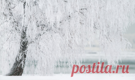 Общий гороскоп на декабрь 2019: Овны не останутся к праздникам с пустыми карманами