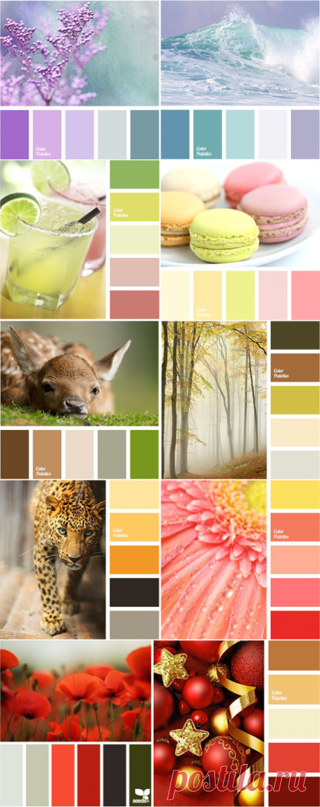 Теплые и холодные цвета |LOOKCOLOR
