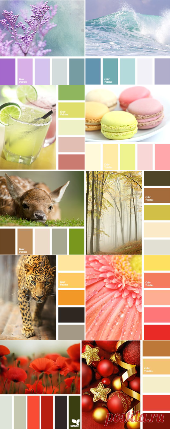 Теплые и холодные цвета |LOOKCOLOR