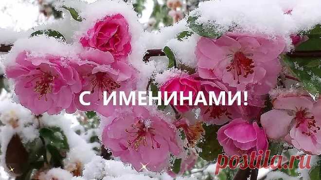 С днём Татьяны поздравления. Татьянин день 25 января