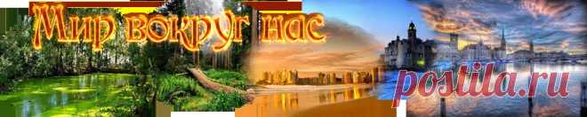 Мир вокруг нас - о мире вокруг нас, путешествия, отношения, это интересно, красота и здоровье, о знаменитостях, все о комнатных цветах, как заработать в интернете, блогерам