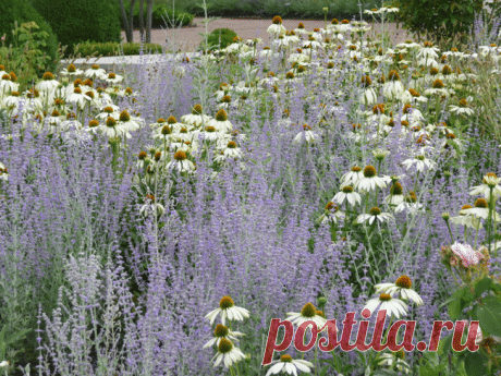 Pinterest: инструмент для поиска и хранения интересных идей