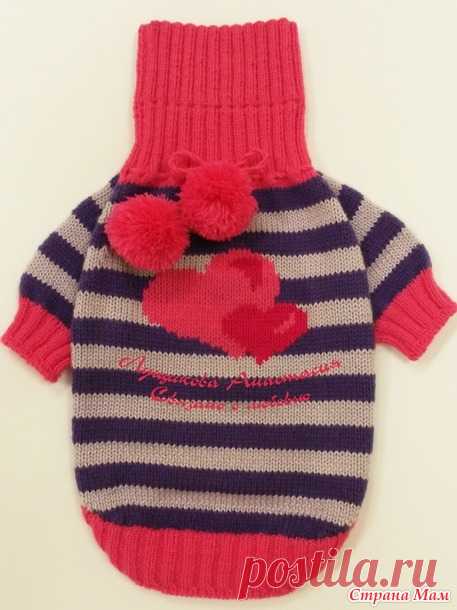 Сердечные наряды для мопса - Вязание - Страна Мам