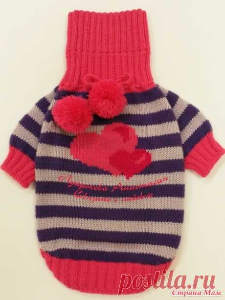 Сердечные наряды для мопса - Вязание - Страна Мам