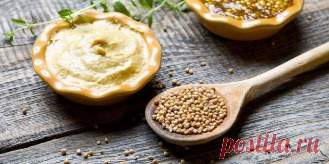 Применение горчицы в косметологии, медицине и кулинарные рецепты. Состав, полезные свойства и противопоказания, как выбирать и хранить.