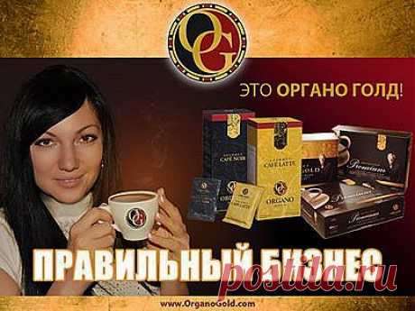 Органо Голд - это ПРАВИЛЬНЫЙ бизнес!