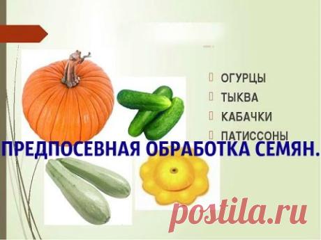 Новые обсуждения в группах - kostenevich_ir@mail.ru - Почта Mail.Ru