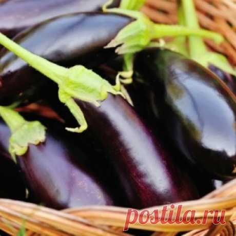 7 &quot;быстрых&quot; блюд, которые можно приготовить из баклажанов