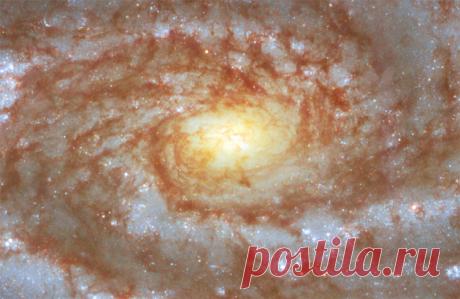 Фото дня: вселенское око На сайте космического телескопа &laquo;Хаббл&raquo; (NASA/ESA Hubble Space Telescope) опубликовано очередное великолепное изображение: на этот раз запечатлена галактика с обозначением NGC 5861.