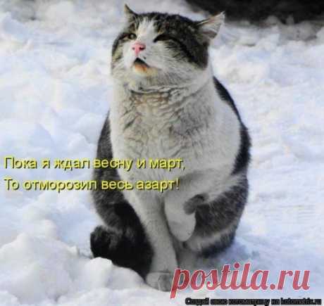 хх