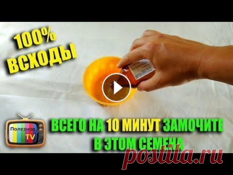 ЗАМОЧИТЕ В ЭТОМ СЕМЕНА ПОЛУЧИТЕ 100% ВСХОДЫ И БОЛЬШОЙ УРОЖАЙ ✔ Моя страница в Инстаграм - ✔ Мой фейсбук - КРУТОЙ САДОВЫЙ ИНСТРУМЕНТ - СУПЕР ЛАМПЫ ДЛЯ РАССАДЫ - ВСЁ ДЛЯ КАПЕЛЬНОГО ПОЛИВА - КРУТОЙ РУЧНОЙ ИНСТРУМЕН...