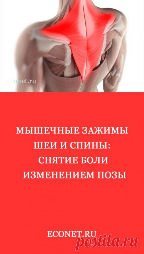Мышечные зажимы шеи и спины: снятие боли изменением позы
Наиболее частой причиной болей в шее и спине являются хронически напряженные мышцы, причем это хроническое напряжение обычно бывает следствием смещенных позвонков, ущемляющих нервы.