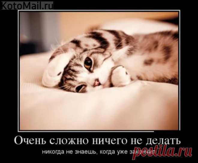 Борьба с ленью. | KotoMail.ru