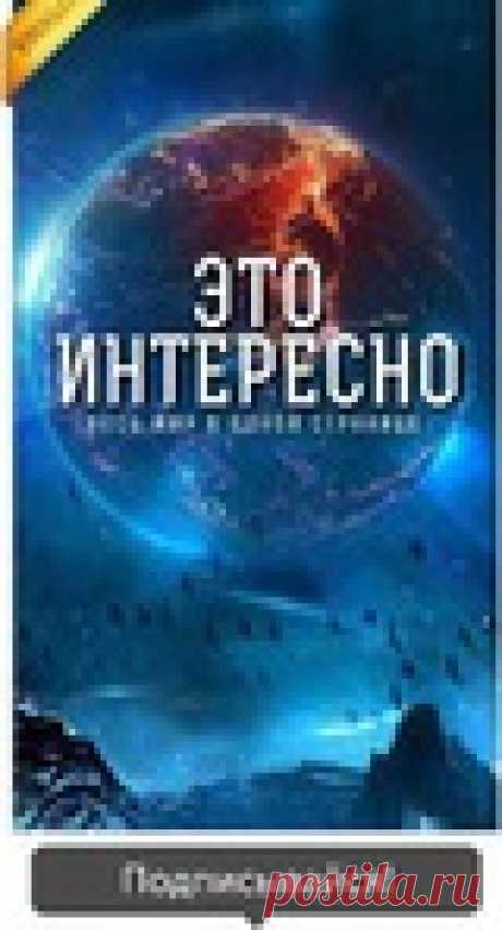 Народные средства от комаров для дома и улицы