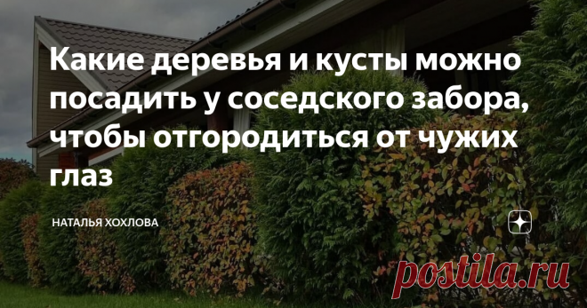 Какие деревья и кусты можно посадить у соседского забора, чтобы отгородиться от чужих глаз Какие деревья и кусты можно посадить у соседского забора, чтобы отгородиться от чужих глаз В современном шумном мире подчас так хочется тишины и уединения. И множество людей для этого бросает мегаполисы, переезжая в деревню или уютный частный сектор. Но как сделать свой участок островком рая на земле? Как отгородить его от любопытных соседских глаз, не используя высокий забор? Для эт...