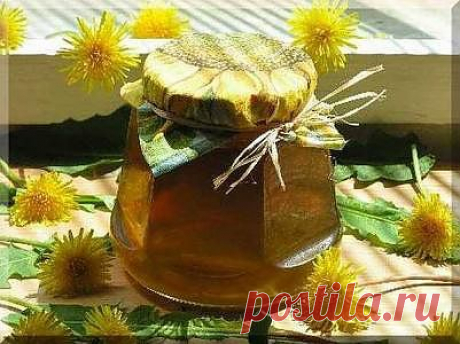 Варенье из одуванчиков: лекарственный мёд