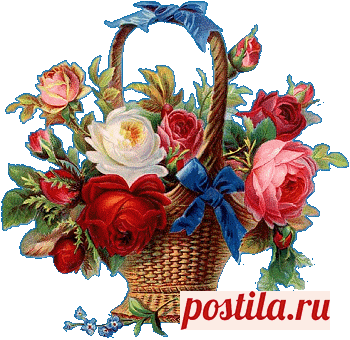 Фотография - Google Фото