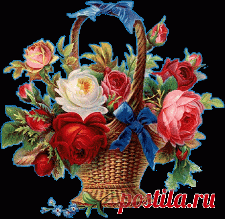 Фотография - Google Фото