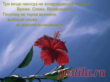 Три вещи никогда не возвращаются обратно: время, слово, возможность. Поэтому регистрируйтесь , обучение с нуля