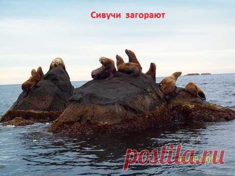 на отдыхе...