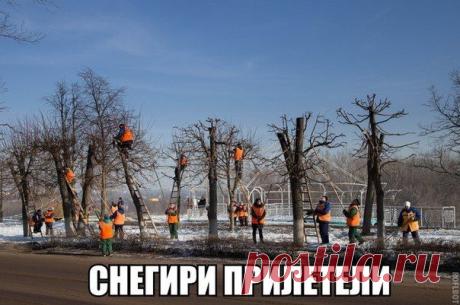 SmmBox - поиск контента