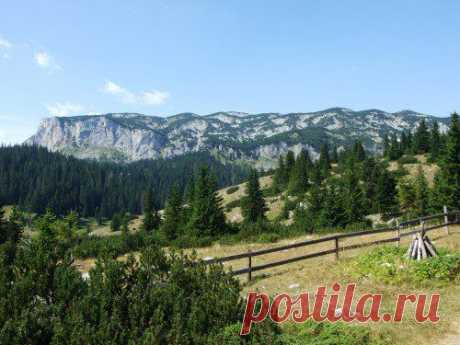 (3) Turistička Organizacija Žabljak