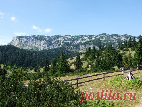 (3) Turistička Organizacija Žabljak